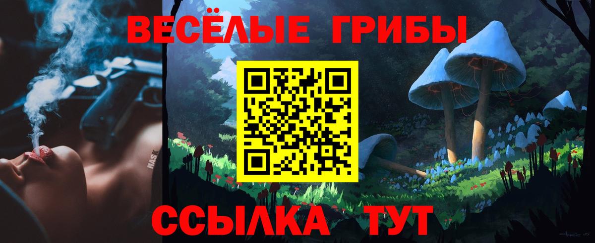 Галлюциногенные грибы мухоморы Пенза